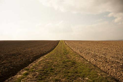 fields arable environment
