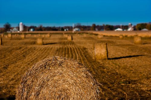 fields fall landscape