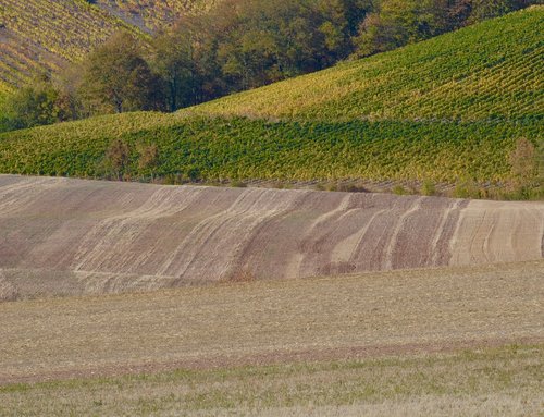 fields  agriculture  landscape