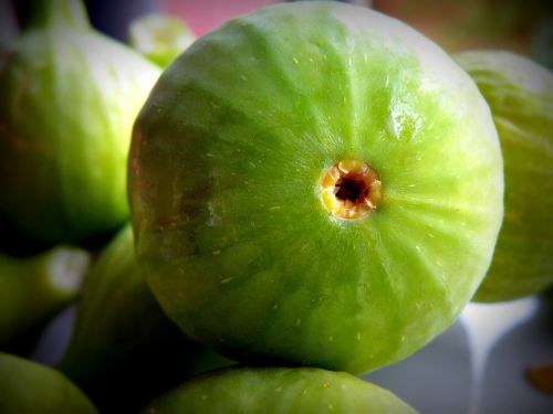 fig summer fruit