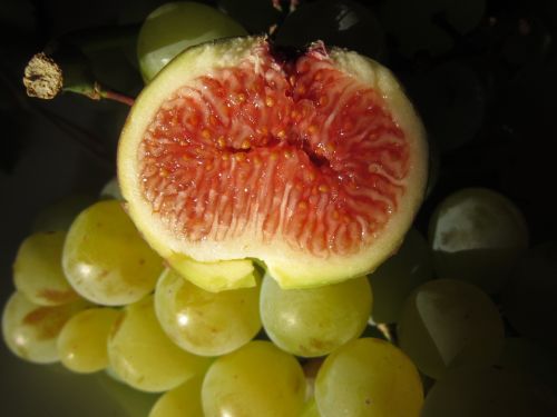 fig grapes fruit