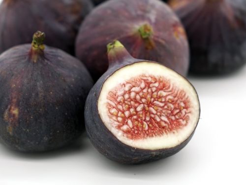 fig ficus carica fruit