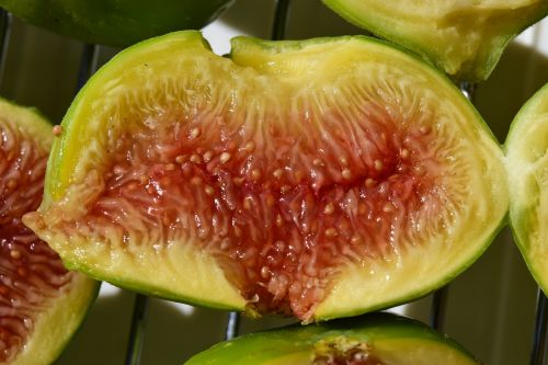 fig frisch fruit