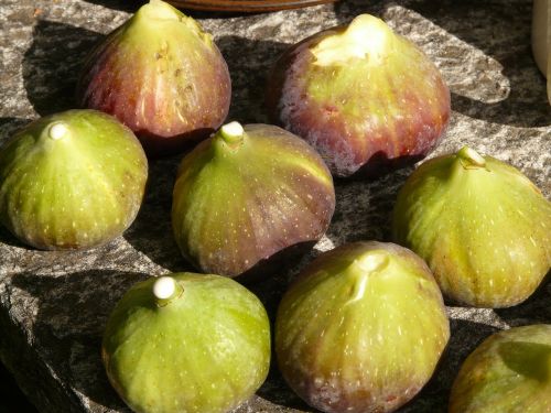 fig figs fruit