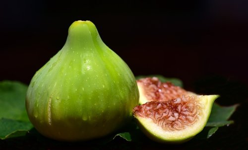 fig  ripe  fresh