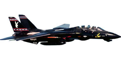 fighter tomcat army