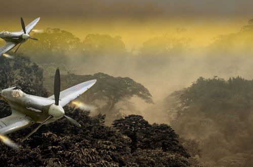 fighter aircraft aircraft jungle