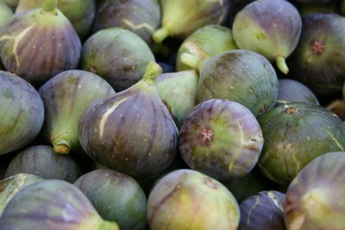 figs food fresh
