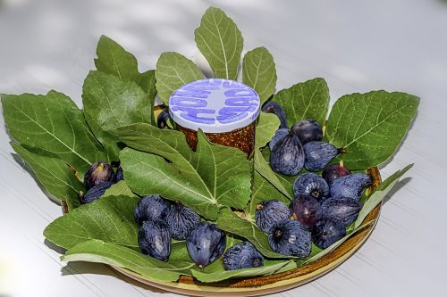 figs fig leaves compote