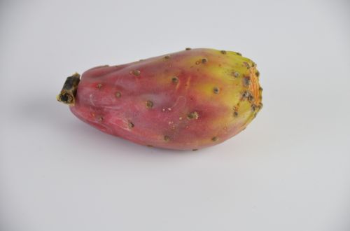 Prickly Pear