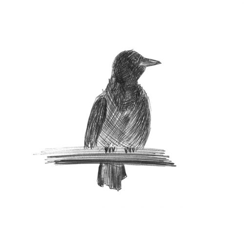 figure bird monochrome