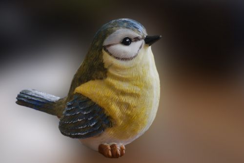 figure bird tit