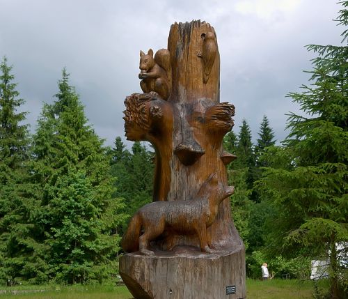 figures log wood