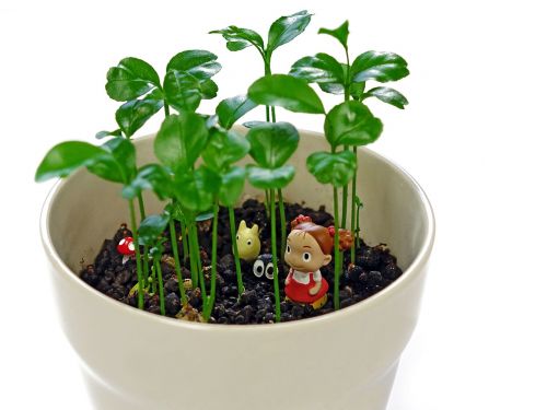 figurine pot plant