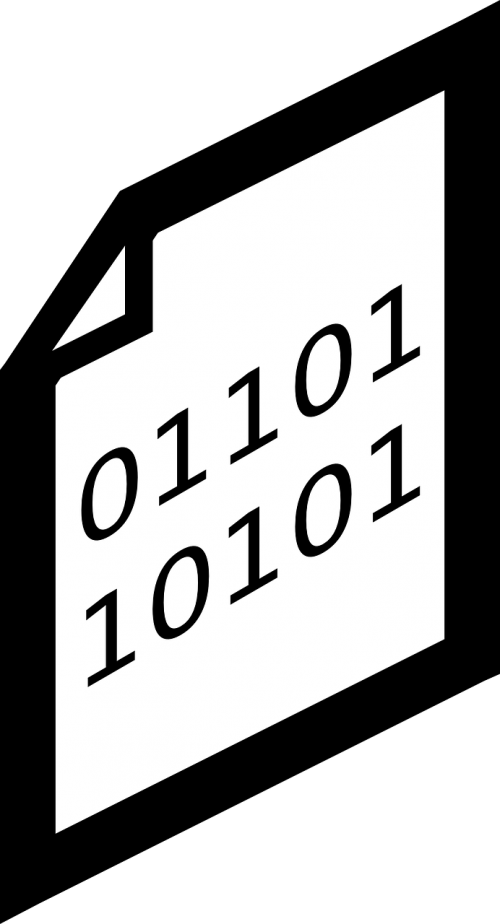 file binary code
