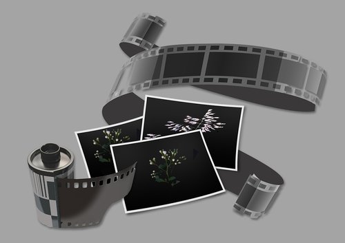 filmstrip  negative  film roll