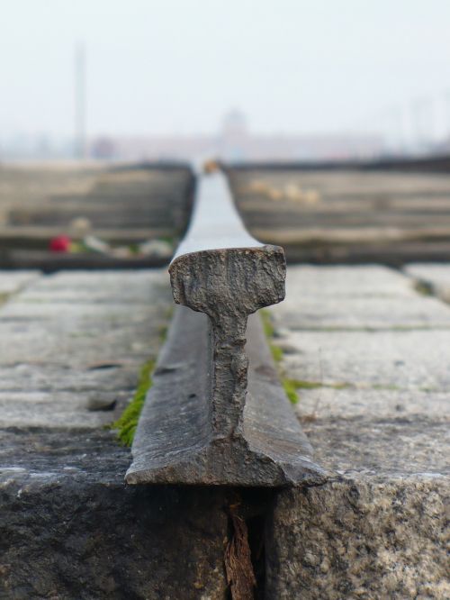 final stop tracks birkenau