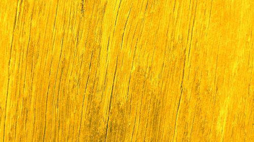 Fine Yellow Grain Background