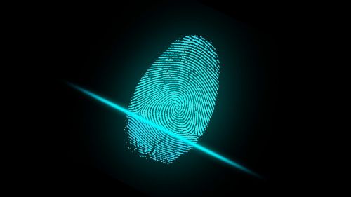 finger fingerprint security