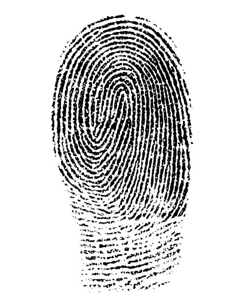 fingerprint mark finger mark