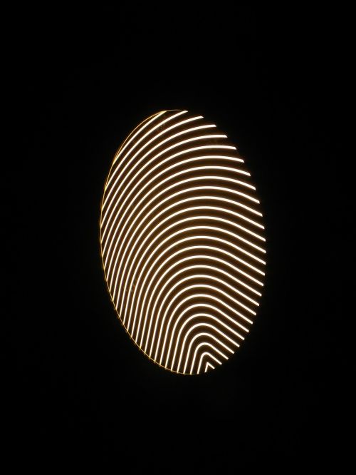 fingerprint finger print light