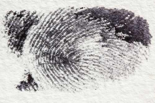 fingerprint daktylogramm papillary