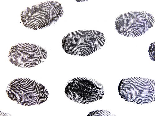 fingerprint traces pattern