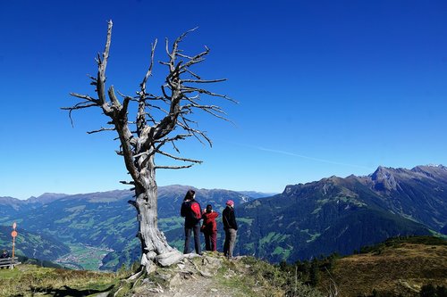 finkenberg  austria  mountain