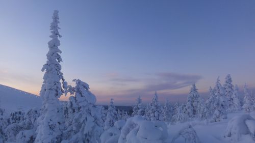 finland winter snow