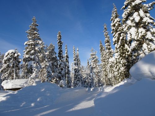 finland winter wintry