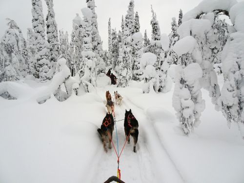 finland winter wintry