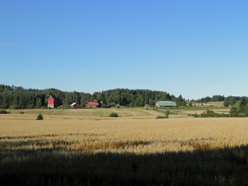 finland farm rural