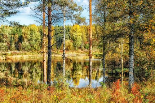 finland hdr pond