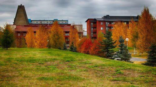 finland park sky