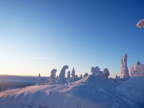 finland snow lapland