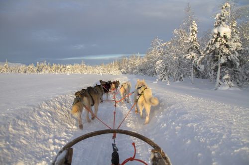 finland lapland wintry