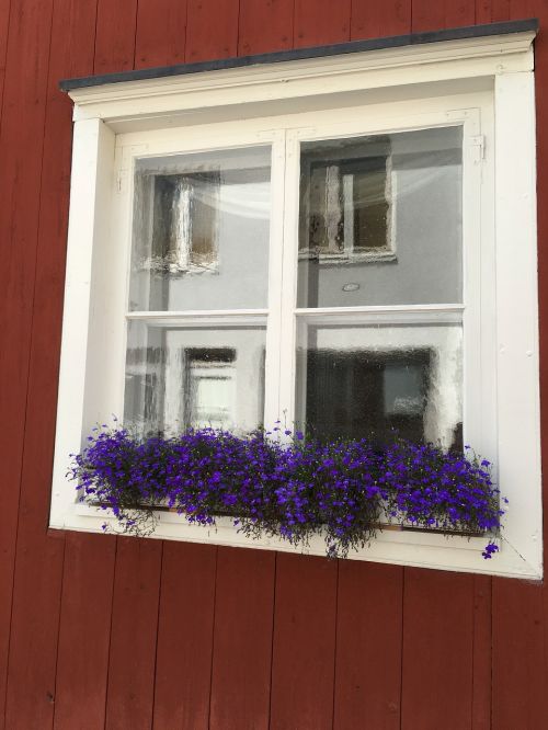 finland window old