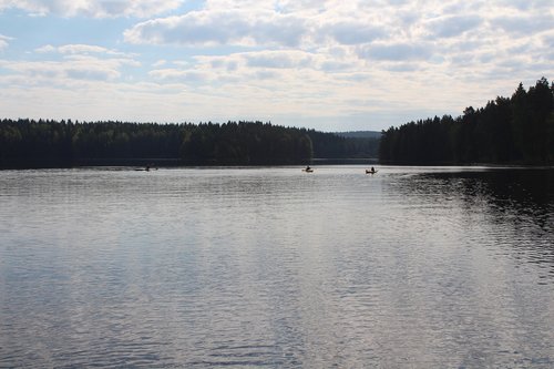 finland  water  trees