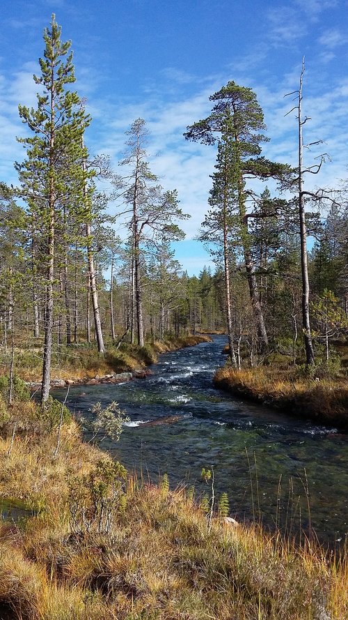 finland  lapland  nature
