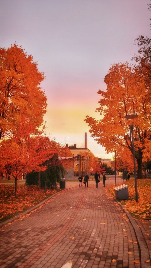 finland autumn fall