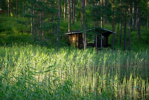 finland wooden chalet reeds