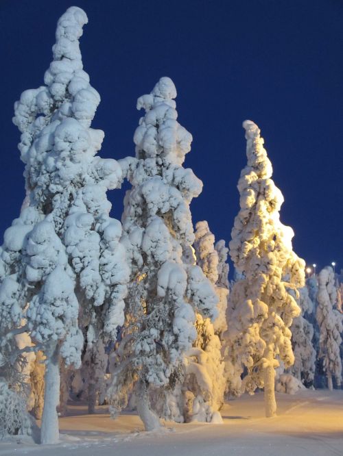 finnish winter snow