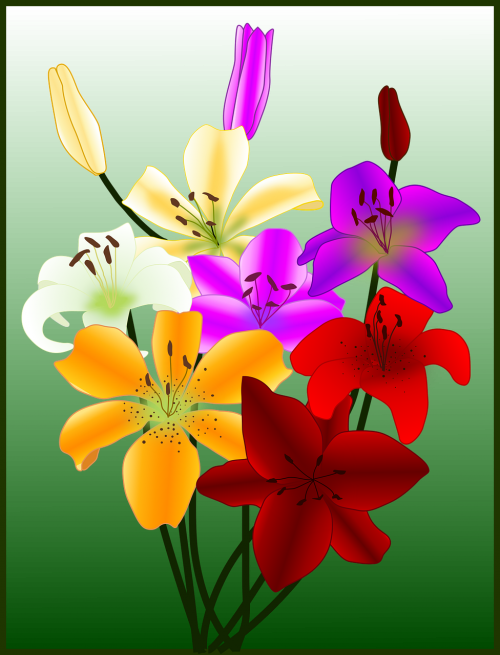 fiori flowers flowers for bookart