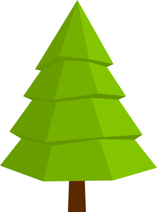 fir christmas tree tree