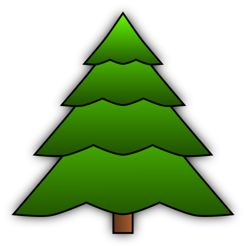 fir tree tree needles