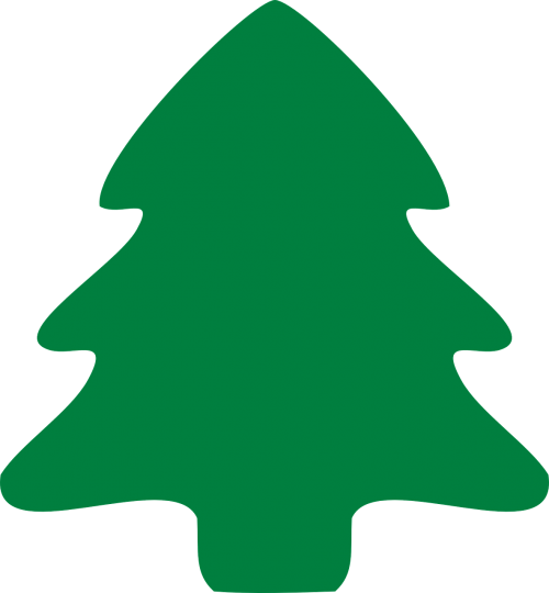 fir tree christmas evergreen