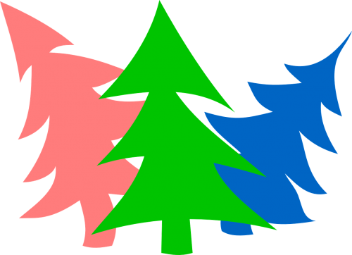 fir trees trees christmas