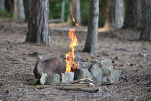 fire forest stones