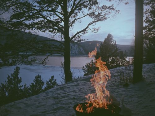 fire lake tree