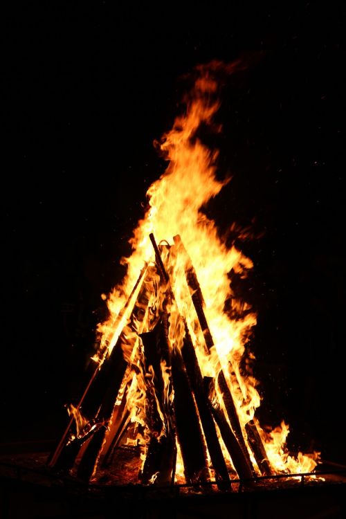 fire wood campfire